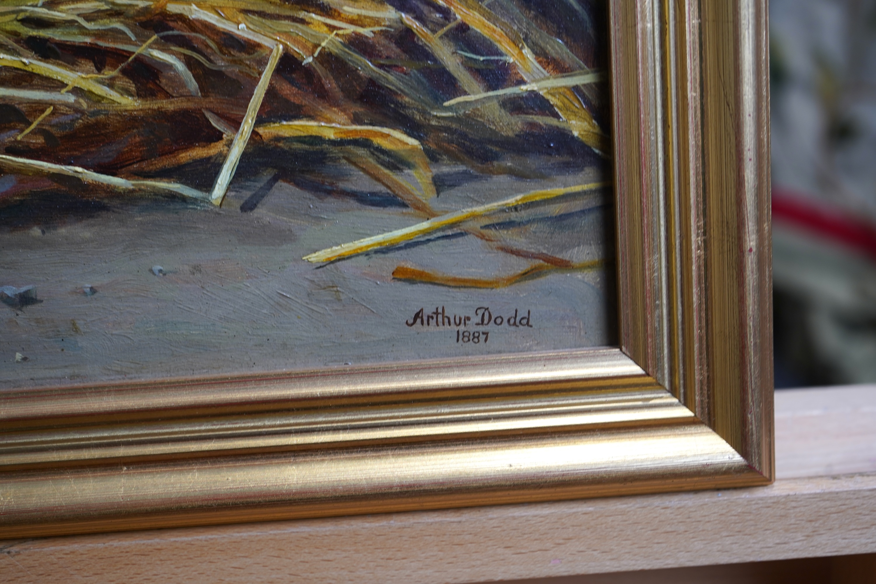 Arthur Charles Dodd, fl. 1878-1891, 'Dogs for sale'